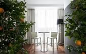 Туры в отель Crystal House Suite Hotel & Spa