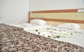 Туры в отель Viva Beach Hotel