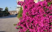 Туры в отель Dort Mevsim Alacati
