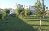 Туры в отель Dort Mevsim Alacati