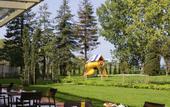 Туры в отель Novotel Hotels & Resorts
