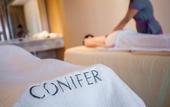 Туры в отель Sanya Conifer Resort