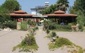 Туры в отель As Queen Beach Hotel