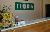 Туры в отель Floria Hotel