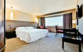 Туры в отель Barcelo Mexico Reforma