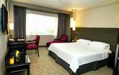 Туры в отель Barcelo Mexico Reforma