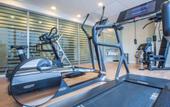 Туры в отель Novotel Roma Eur