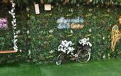 Туры в отель Gevora Hotel