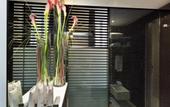 Туры в отель Navona Suites