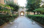 Туры в отель San Pietro Resort