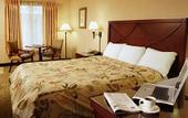 Туры в отель Days Inn SeaWorld