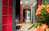 Туры в отель Colors Hotel