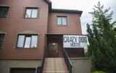Туры в отель Crazy Dog Hostel