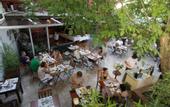 Туры в отель Rose Garden Suites