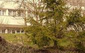 Туры в отель De La Foret