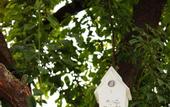 Туры в отель Villa Magnolia Relais