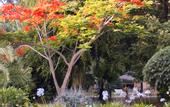 Туры в отель Arumeru River Lodge
