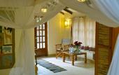 Туры в отель Arumeru River Lodge