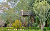 Туры в отель Arumeru River Lodge