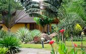 Туры в отель Arumeru River Lodge