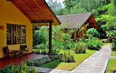 Туры в отель Arumeru River Lodge