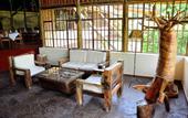 Туры в отель Arumeru River Lodge