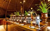 Туры в отель The Sands at Chale Island Hotel