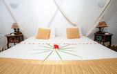 Туры в отель The Sands at Chale Island Hotel