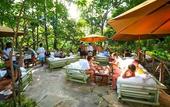 Туры в отель The Sands at Chale Island Hotel