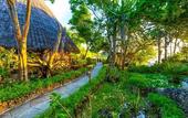 Туры в отель The Sands at Chale Island Hotel