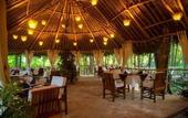 Туры в отель The Sands at Chale Island Hotel