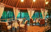 Туры в отель The Sands at Chale Island Hotel