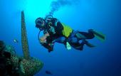 Туры в отель The Sands at Chale Island Hotel