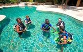 Туры в отель The Sands at Chale Island Hotel