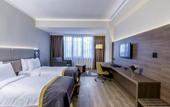 Туры в отель Nearport Hotel Sabiha Gokcen