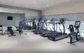 Туры в отель Holiday Inn Express New Delhi International Airport T3