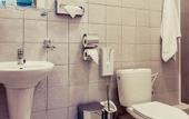 Туры в отель Horse Inn Pension