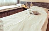 Туры в отель Horse Inn Pension