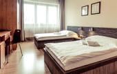 Туры в отель Horse Inn Pension