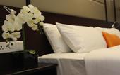 Туры в отель Harmony Phnom Penh Hotel