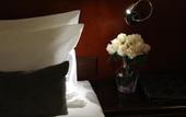 Туры в отель Harmony Phnom Penh Hotel