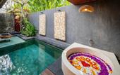 Туры в отель Seminyak Sanctuary Villa by iNi Vie Hospitality