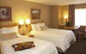 Туры в отель Hampton Inn & Suites Phoenix-Goodyear