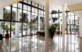 Туры в отель AluaSoul Alcudia Bay