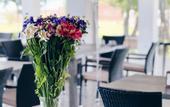 Туры в отель Injir Village Hotel