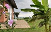 Туры в отель Injir Village Hotel
