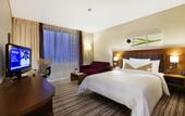 Туры в отель Hilton Garden Inn Konya