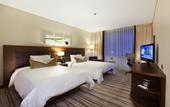 Туры в отель Hilton Garden Inn Konya