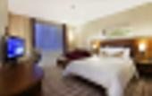 Туры в отель Hilton Garden Inn Konya