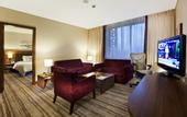 Туры в отель Hilton Garden Inn Konya
